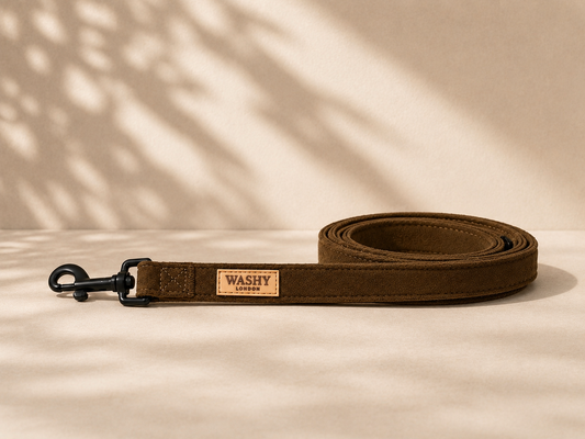 Brown Sherpa Lead