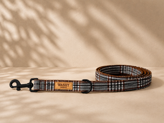 Windsor Check Lead