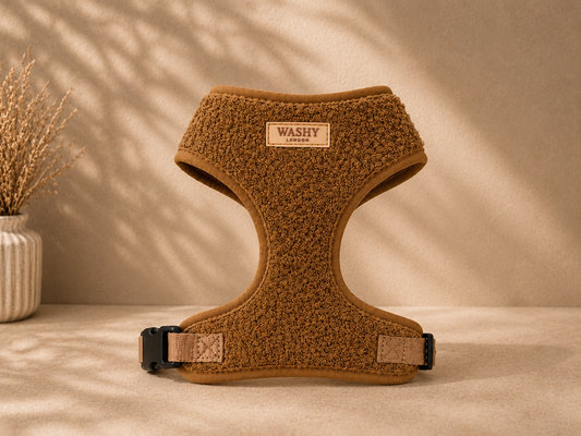 Teddy Dog Harness