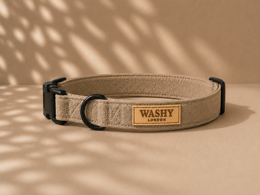 Sherpa Dog Collar