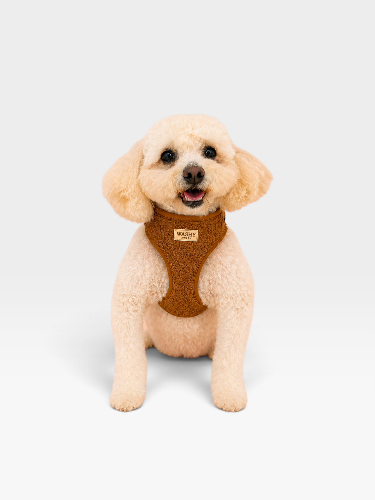 Teddy Adjustable Harness Set