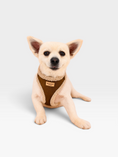 Load image into Gallery viewer, Teddy Adjustable Harness Set
