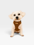 Load image into Gallery viewer, Teddy Adjustable Harness Set
