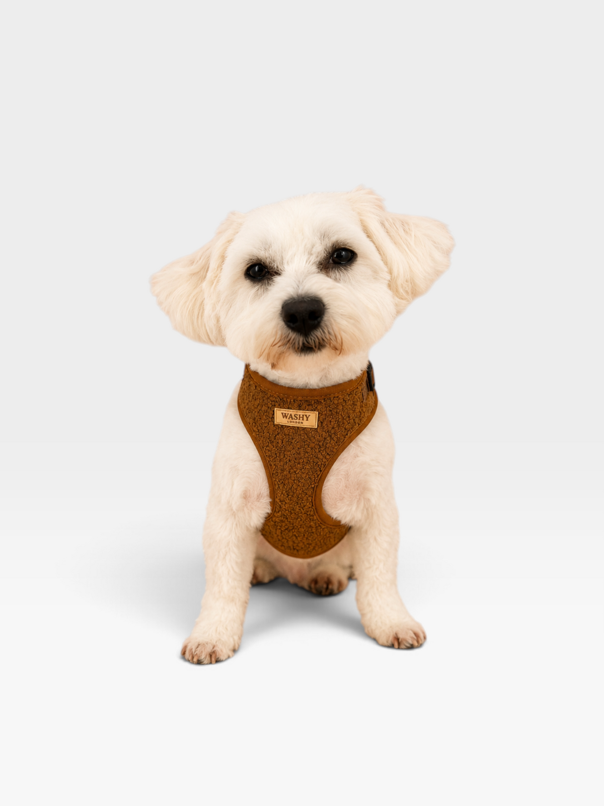 Teddy Adjustable Harness Set