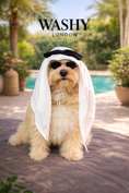 Load image into Gallery viewer, Woof Bling

