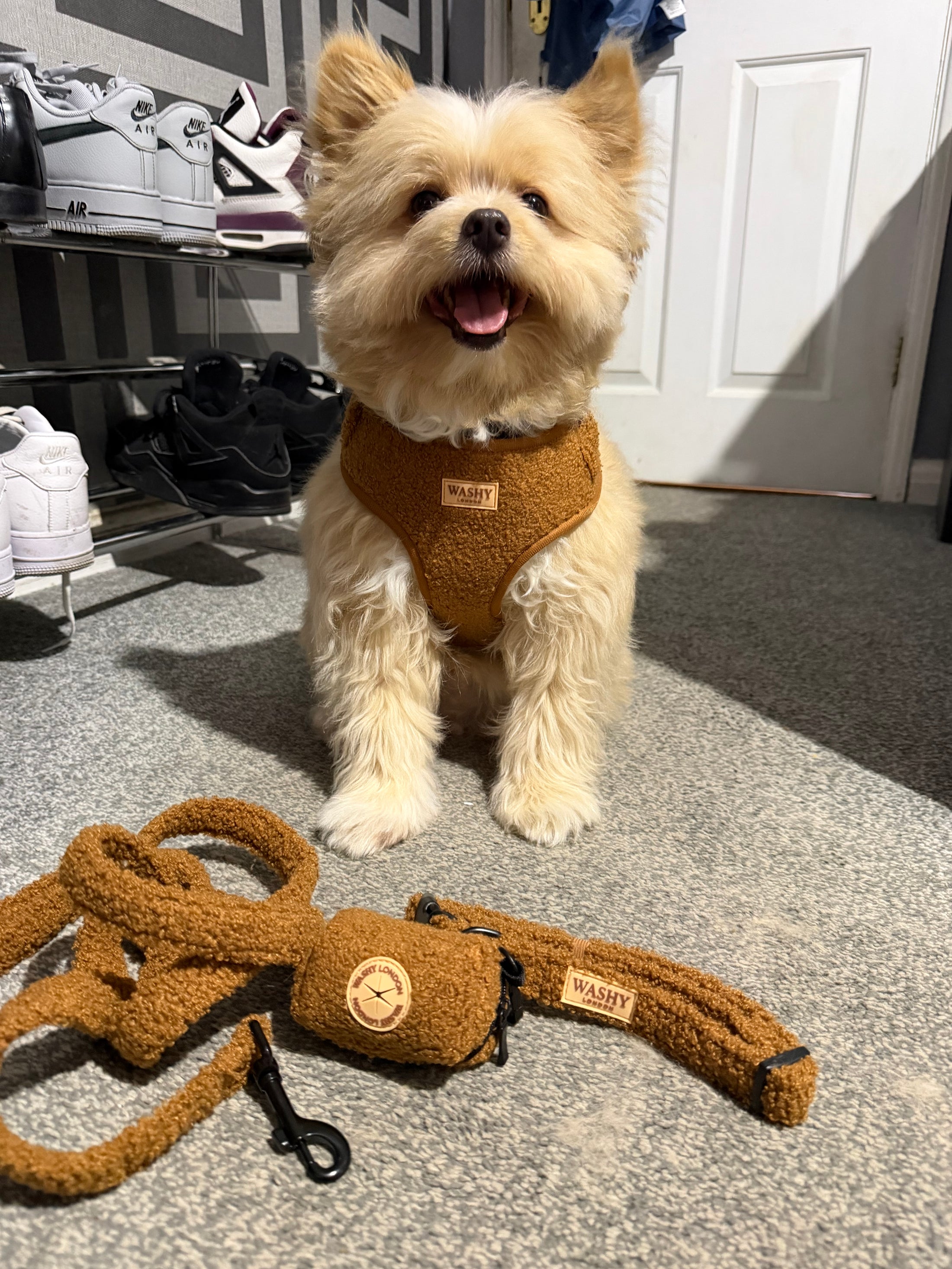 Teddy Adjustable Harness Set