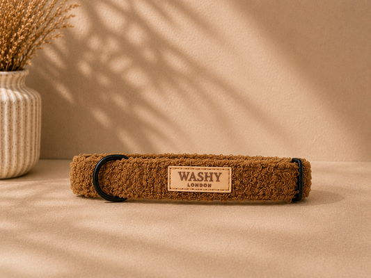 Teddy Dog Collar